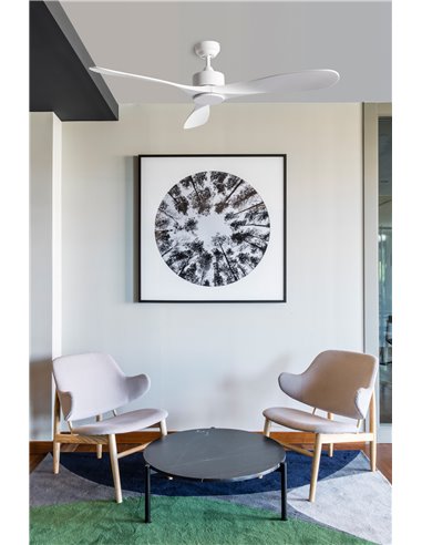Ventilateur de plafond blanc LUZON DC avec commande WIZ 23W, Ø132 cm, 3 pales et télécommande