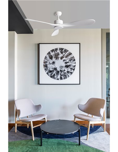 Ventilateur de plafond blanc LUZON DC avec commande WIZ 23W, Ø132 cm, 3 pales et télécommande