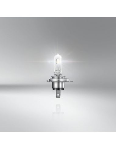 Bombilla H4 Classic 12V 60/55W Bilux