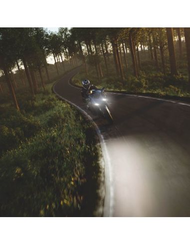 Ampoule halogène Diadem chromée PY21W 12V (nouvelle génération), lot de 2 ampoules 7507DC Osram