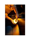 Señal de emergencia LED TA20 para Alemania, LEDguardian® ROAD FLARE recargable 360° IP54 (TÜV/KBA)