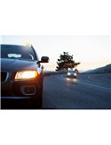 Señal de emergencia LED TA20 para Alemania, LEDguardian® ROAD FLARE recargable 360° IP54 (TÜV/KBA)