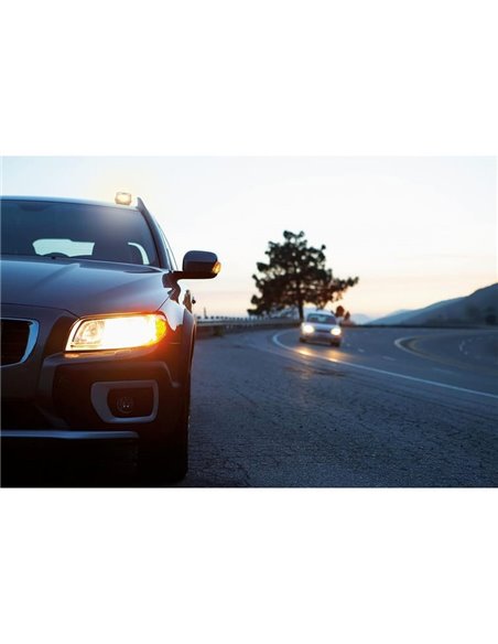 Sinal de emergência LED TA20 para Alemanha, LEDguardian® ROAD FLARE recarregável 360° IP54 (TÜV/KBA)