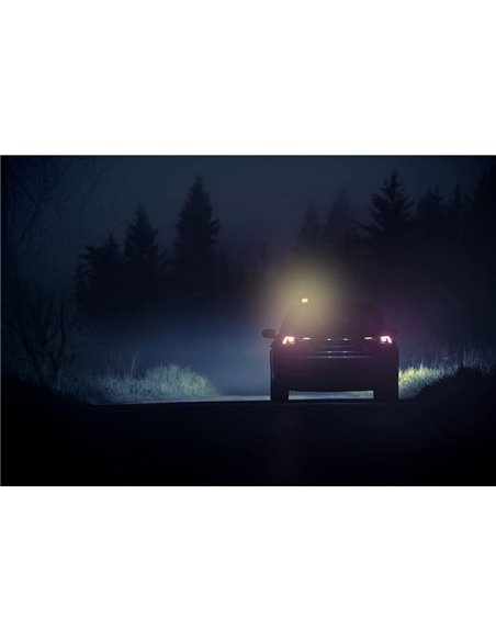 Panneau d'urgence LED TA20 pour l'Allemagne, LEDguardian® ROAD FLARE rechargeable 360° IP54 (TÜV/KBA)