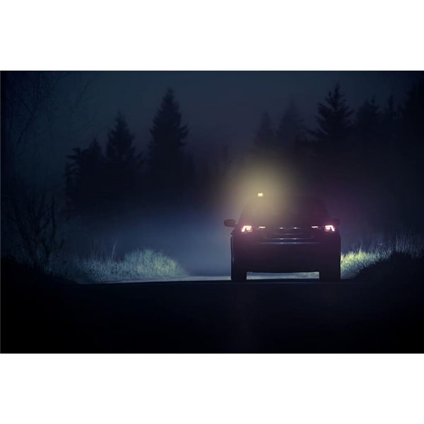 Señal de emergencia LED TA20 para Alemania, LEDguardian® ROAD FLARE recargable 360° IP54 (TÜV/KBA)