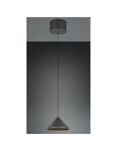 Lámpara de techo LED LAGUNA, 1 luz Ø18cm altura regulable, 5W 500lm, 2300+3000+4000K IP20 Negro