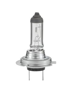 Bombilla halógena HELLA H7 Standard 12V 55W PX26d | caja 1 unidad | 8GH 007 157-121 2
