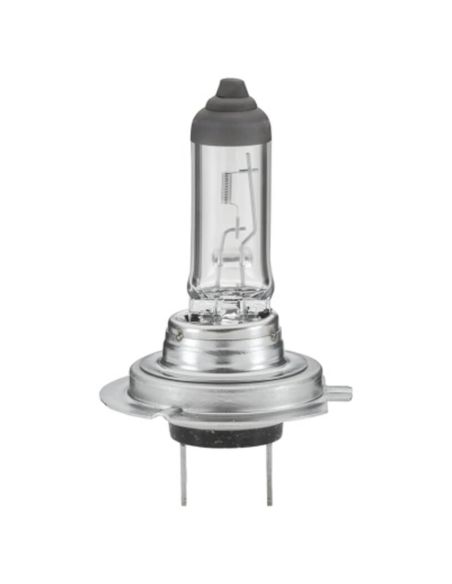 Bombilla halógena HELLA H7 Standard 12V 55W PX26d | caja 1 unidad | 8GH 007 157-121