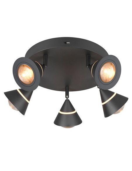Plafonnier LED avec 5 spots orientables ROMEO 7W 5x700lm, 2300+3000+4000K IP20 Noir