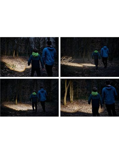 Lampe torche LEDinspect TORCH 350Lm ESSENTIAL, haute performance IP44, 3 modes d'éclairage