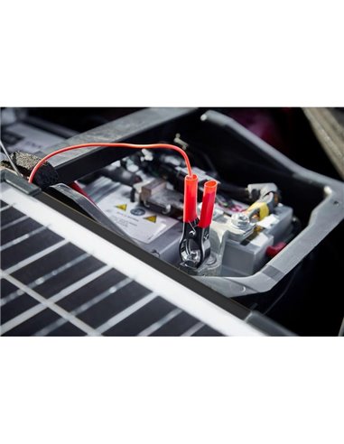 Mantenedor solar 12V 10W IP65 para batería, 0,56 A, 230×364×18 mm, BATTERYcharge SOLAR 10W