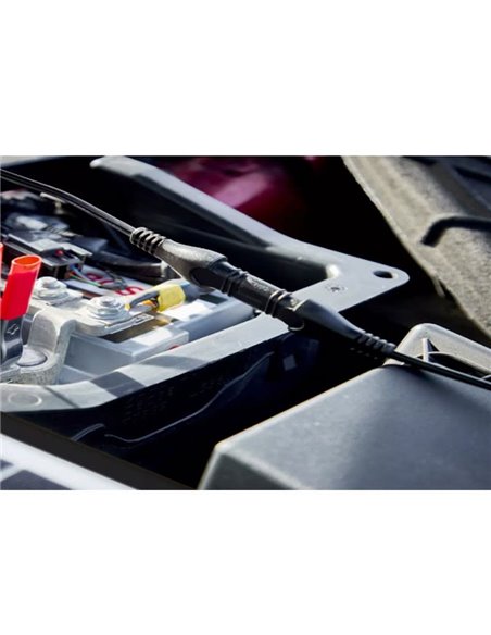 Câble BATTERYcharge SOLAR pour l'entretien des batteries solaires, compatible avec OSP500, OSP1000 et OSP2000