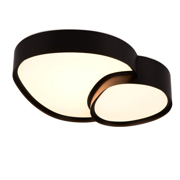 Plafonnier LED RISE 43,5 cm 21 W 2400 lm, intensité variable 2700 - 6500 K, mode nuit, mémoire IP20, noir