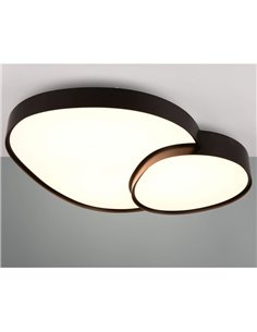 Plafonnier LED RISE 77 cm 45 W 5 300 lm, intensité variable 2 700 - 6 500 K, mode nuit, mémoire de couleur IP20, noir 2