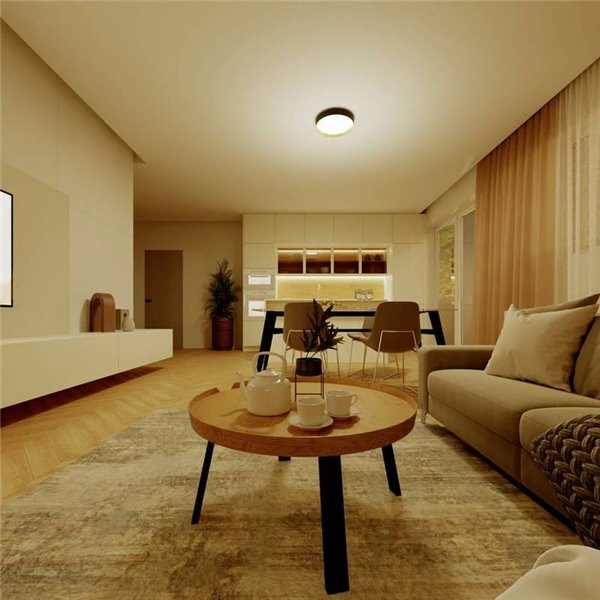 Plafón LED redondo 24W negro Ø38,4cm, HANNO SCENESWITCH 2700K-2700Lm/4000K-2800Lm