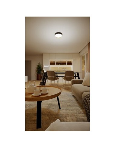 Plafón LED redondo 24W negro Ø38,4cm, HANNO SCENESWITCH 2700K-2700Lm/4000K-2800Lm