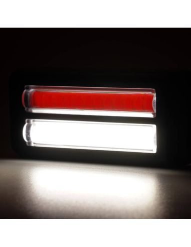 Feu arrière à LED W296 série 2449, double feu antibrouillard et feu de recul, 12/24 V, universel, R10 AR F1 | Câble de 24 cm