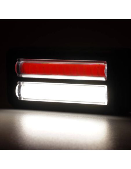 Feu arrière à LED W296 série 2449, double feu antibrouillard et feu de recul, 12/24 V, universel, R10 AR F1 | Câble de 24 cm