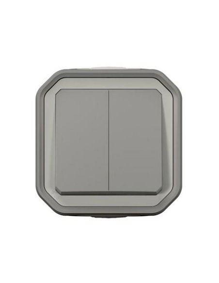 Doble conmutador NEW PLEXO IP55 gris monobloc de superficie
