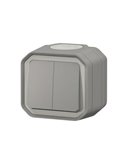 NOUVEAU PLEXO IP55 gris monobloc double interrupteur en saillie
