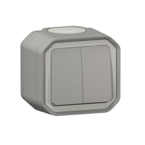 Doble conmutador NEW PLEXO IP55 gris monobloc de superficie