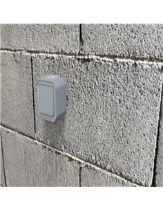 Pulsador de superficie NEW PLEXO IP55 gris monobloc 2