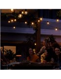 Guirnalda LED exterior FESTAVIA HUE GLOBE STRING 14 m, 20 bombillas 1000Lm, White & Color con Bluetooth