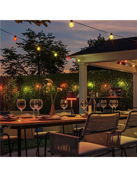 Guirnalda LED exterior FESTAVIA HUE GLOBE STRING 14 m, 20 bombillas 1000Lm, White & Color con Bluetooth