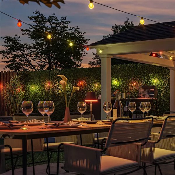 Guirnalda LED extérieure FESTAVIA HUE GLOBE STRING 14 m, 20 ampoules 1000 lm, blanc et couleur avec Bluetooth