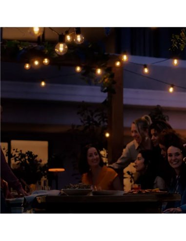 Guirnalda LED extérieure FESTAVIA HUE GLOBE STRING 21 m, 30 ampoules 1500 lm, blanc et couleur avec Bluetooth