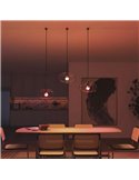 Bombilla inteligente LED Philips Hue Essential A60 E27, 8W (equivalente 60W), 806 Lm, regulable intensidad, White & Color con Bl