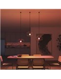 Pack 2 bombillas LED inteligentes STARTER KIT ESSENTIAL A60 E27 806Lm 3W, White & Color + Hue Bridge + Dimmer switch