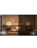 Pack 2 bombillas LED inteligentes STARTER KIT ESSENTIAL A60 E27 806Lm 3W, White & Color + Hue Bridge + Dimmer switch