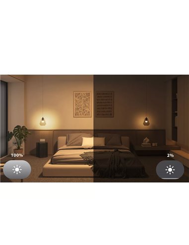 Kit Inicial Essencial com 2 Lâmpadas LED Inteligentes A60 E27 806Lm 3W, Branca e Colorida + Hue Bridge + Interruptor Dimmer