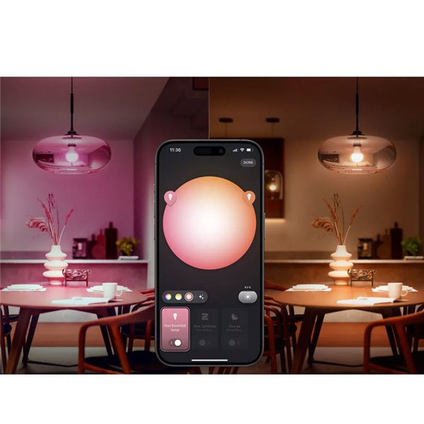 Pack de 2 ampoules LED intelligentes STARTER KIT ESSENTIAL A60 E27 806 lm 3 W, blanc et couleur + pont Hue + variateur