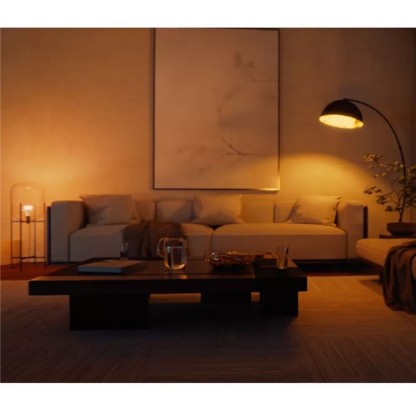 Kit de inicio 2 bombillas LED inteligentes Philips Hue WCA A60 E27 1100Lm White & Color + Hue Bridge Pro + Dimmer Switch 
