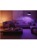 Kit de inicio 2 bombillas LED inteligentes Philips Hue WCA A60 E27 1100Lm White & Color + Hue Bridge Pro + Dimmer Switch 