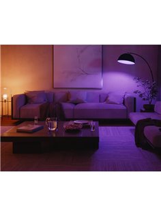 Kit de inicio 2 bombillas LED inteligentes Philips Hue WCA A60 E27 1100Lm White & Color + Hue Bridge Pro + Dimmer Switch  2