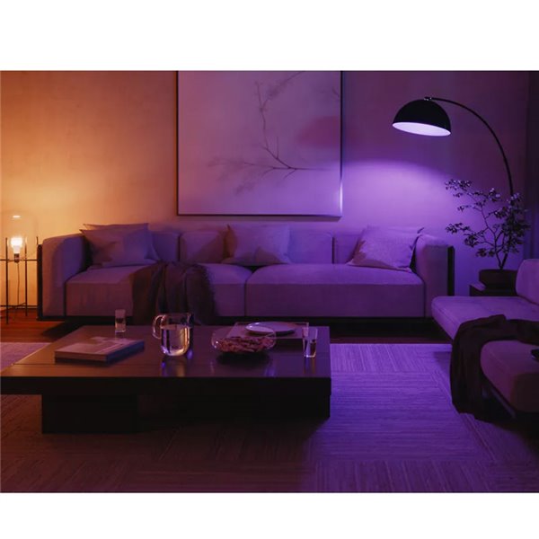 Kit de inicio 2 bombillas LED inteligentes Philips Hue WCA A60 E27 1100Lm White & Color + Hue Bridge Pro + Dimmer Switch 