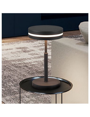 Luminária de mesa LED FRANKLIN 6W 1x700lm, 3000K IP20 Antracite