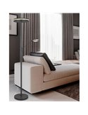 Lampadaire FRANKLIN 35-6,5 W 4100-650 lm 2700+3200+4000 K IP20 Anthracite avec bras de lecture