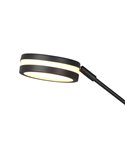 Lampadaire FRANKLIN 35-6,5 W 4100-650 lm 2700+3200+4000 K IP20 Anthracite avec bras de lecture