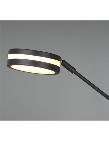 Lampadaire FRANKLIN 35-6,5 W 4100-650 lm 2700+3200+4000 K IP20 Anthracite avec bras de lecture