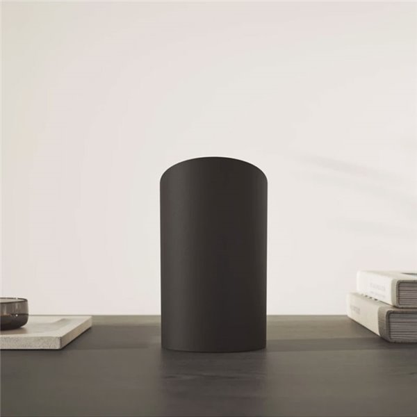 Lot de 2 ampoules Hue Play Wall Washer noires 1035Lmx2, synchronisation TV