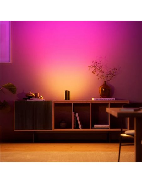 Pack 2 bañador de pared HUE PLAY WALL WASHER negro 1035Lmx2, sincronización con TV