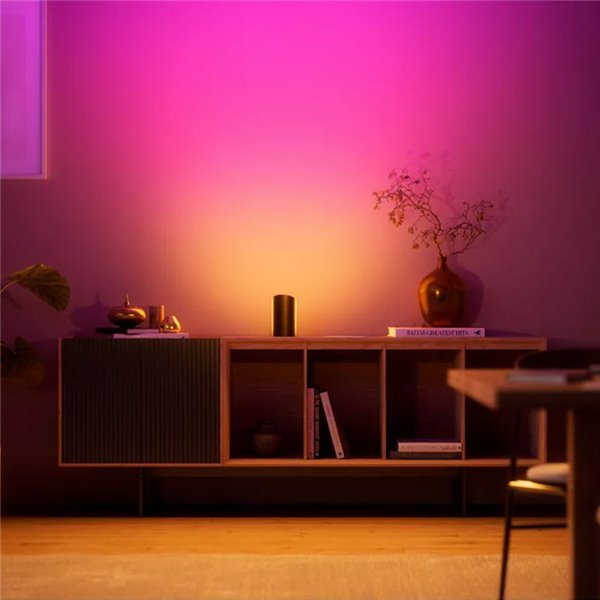 Pacote com 2 lâmpadas Hue Play Wall Washer pretas 1035Lmx2, sincronização com TV