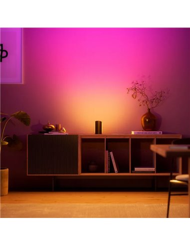 Bañador de pared HUE PLAY WALL WASHER negro, 1035Lm, sincronización con TV