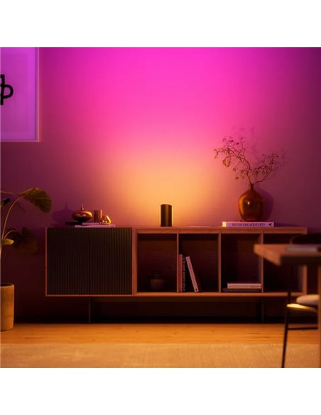 Bañador de pared HUE PLAY WALL WASHER negro, 1035Lm, sincronización con TV