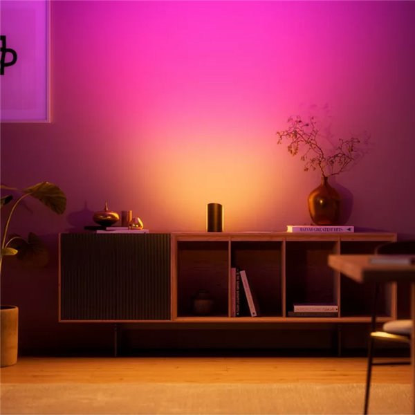 Bañador de pared HUE PLAY WALL WASHER negro, 1035Lm, sincronización con TV