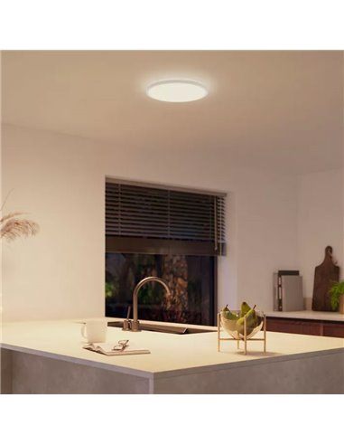 Plafón de techo LED inteligente redondo S HUE SLIM CEILING blanco, 16,6W 2250Lm,  2000-6500 Hue White Color Ambiance Ø29,1cm